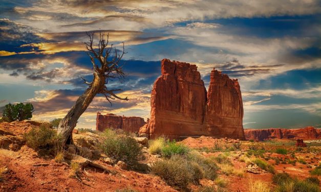 Bryce Canyon National Park: Key Information and Guide