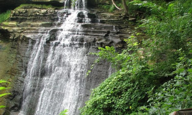 Cuyahoga Valley National Park: Information and Guide