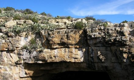 A Tour Guide to Carlsbad Caverns National Park