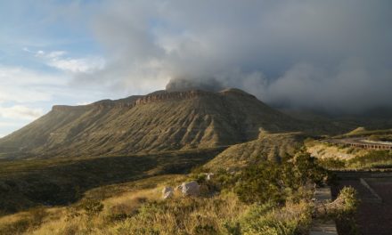 Plan Your Visit to Guadalupe Mountains National Park