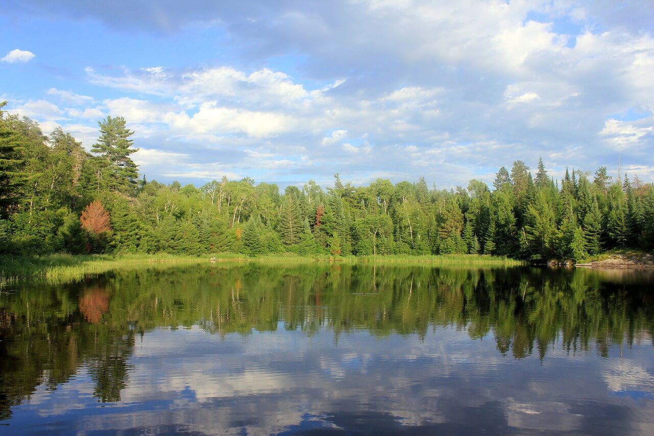 The Ultimate Wildlife Tourism: Voyageurs National Park