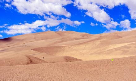 Desert Safari: Great Sand Dunes National Park
