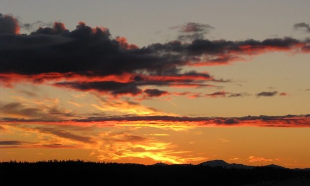 Kobuk Valley National Park- Information and Guide