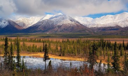 The Uniqueness of Wrangell–St. Elias National Park and Preserve