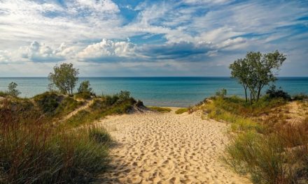 A Guide to Indiana Dunes National Park