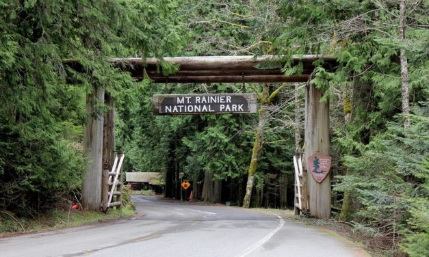 A Guide to Mount Rainier National Park