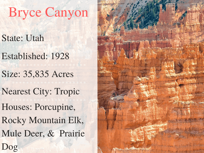 Bryce National Park Facts