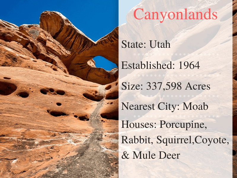 Canyon lands National Park Facts