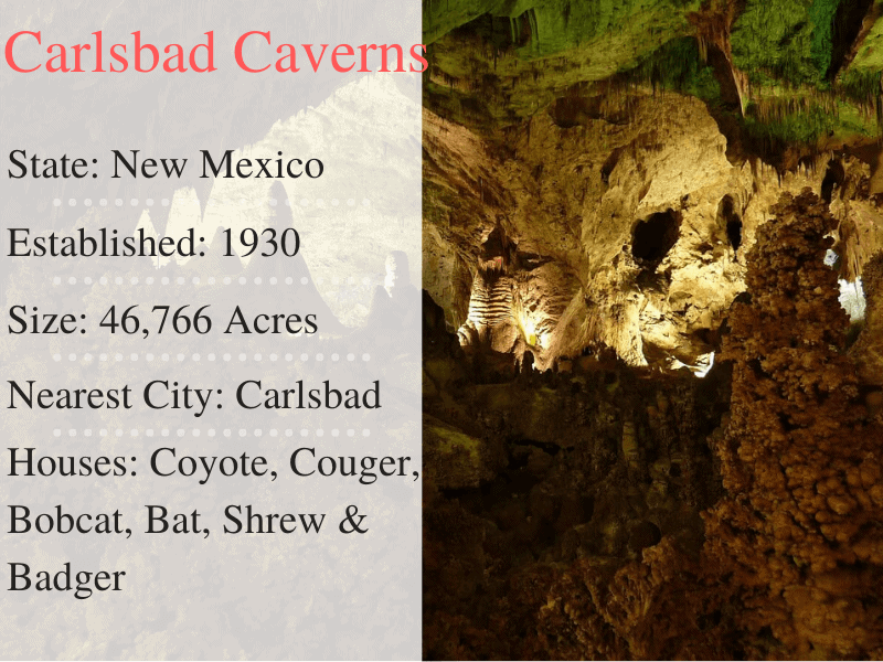 Carlsbad Caverns National Park Facts