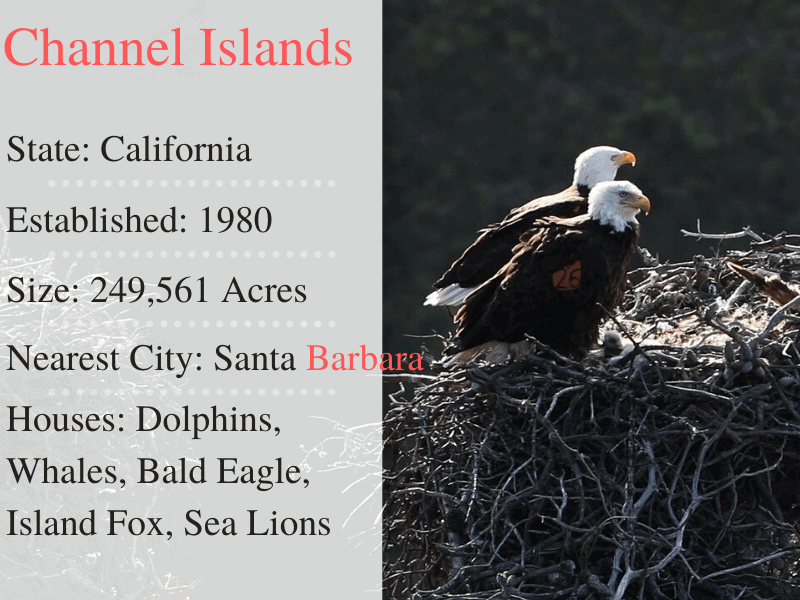 Channel Islands National Park Facts