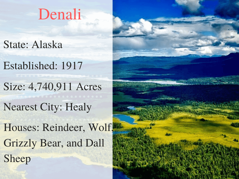 Denali National Park Facts