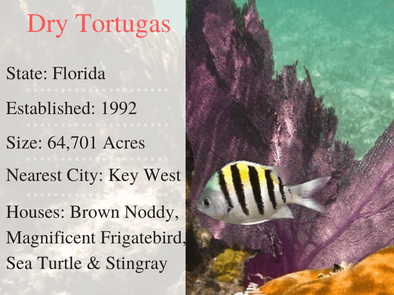 Dry Tortugas National Park Facts