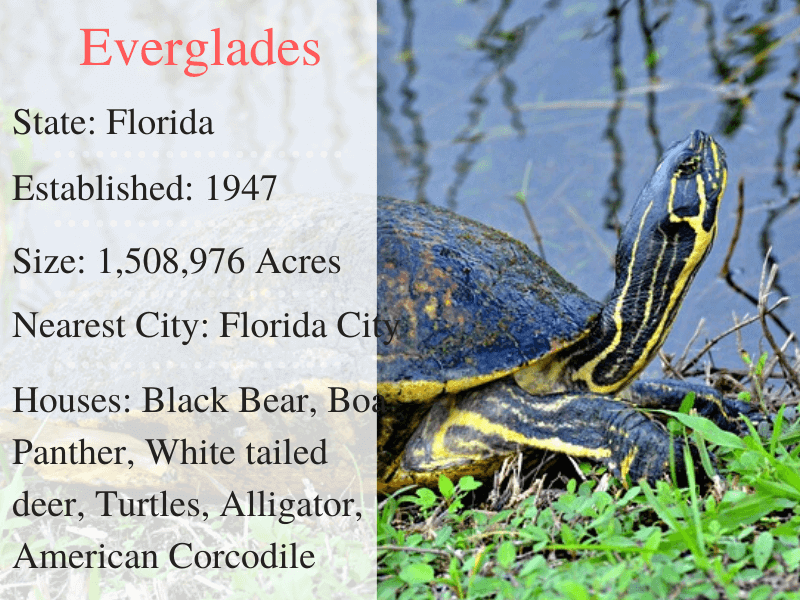 Everglades National Park Facts