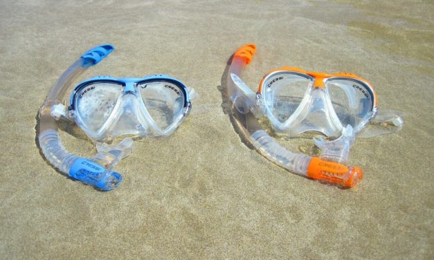 4 Best National Parks in the US for Snorkeling