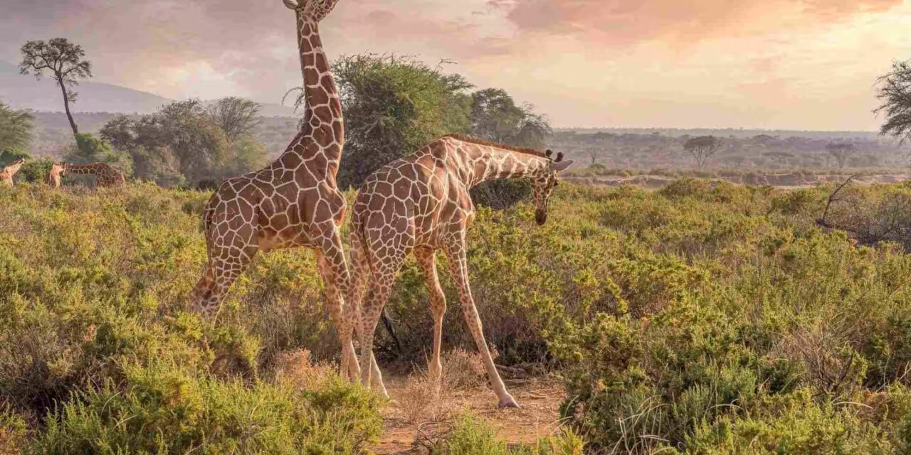 Hell’s Gate National Park