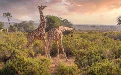 Hell’s Gate National Park