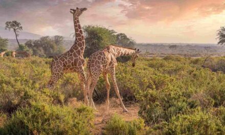 Hell’s Gate National Park