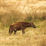 Arusha National Park