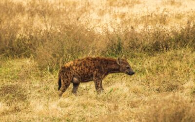 Arusha National Park