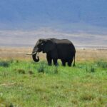 Ngorongoro Crater National Park