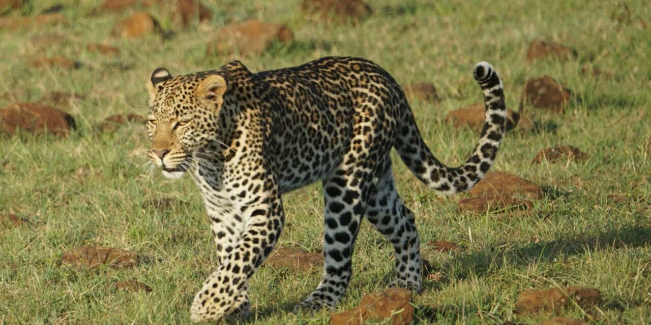 Serengeti National Park