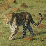 Serengeti National Park