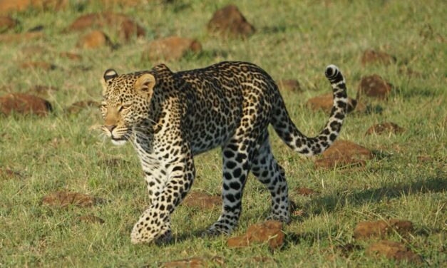 Serengeti National Park